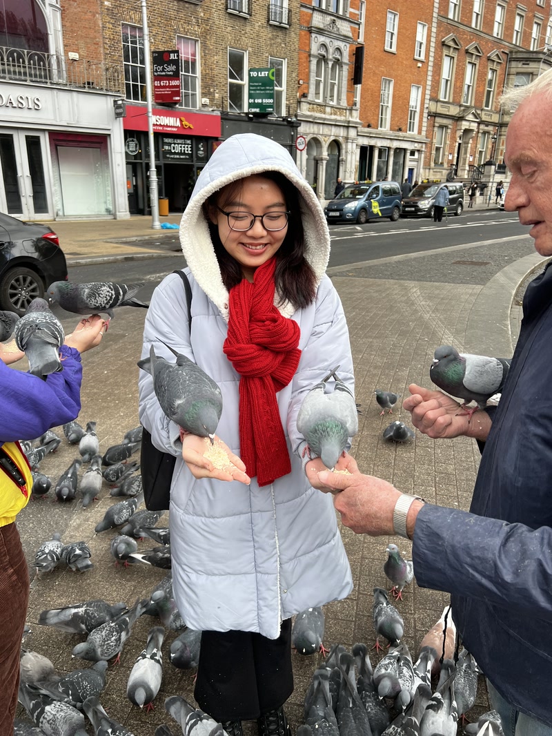 Trâm cho bồ câu ăn trên phố ở Dublin